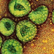 Image for article titled Brand new "SARS-like" virus has emerged in the Middle East. Time to panic?